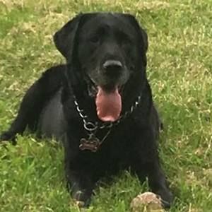 Meet your Posher, Teresa